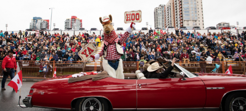 50 Seats for Our 50th - Stampede Parade Seating