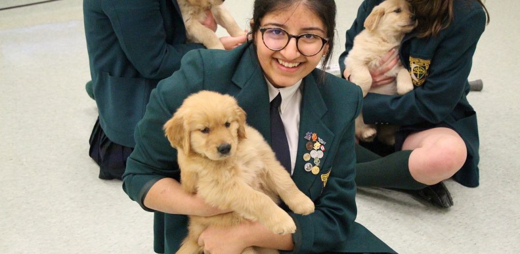 Puppies take over at STS!