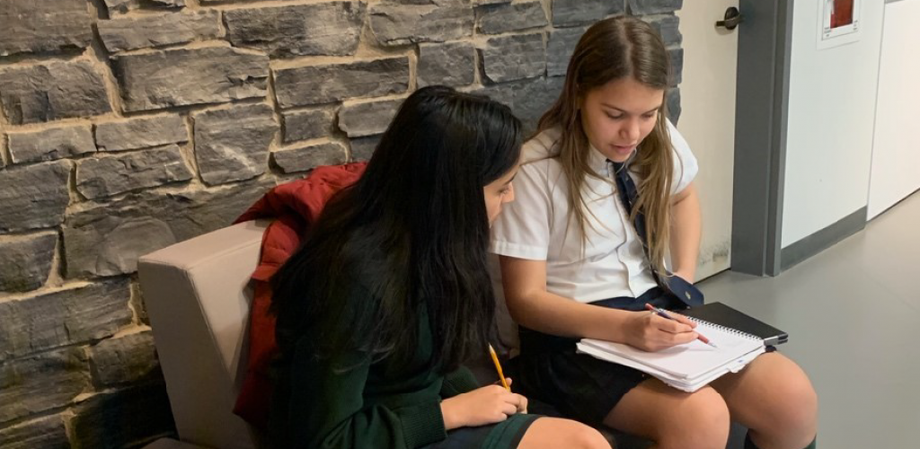 The Peer Tutoring program at STS 