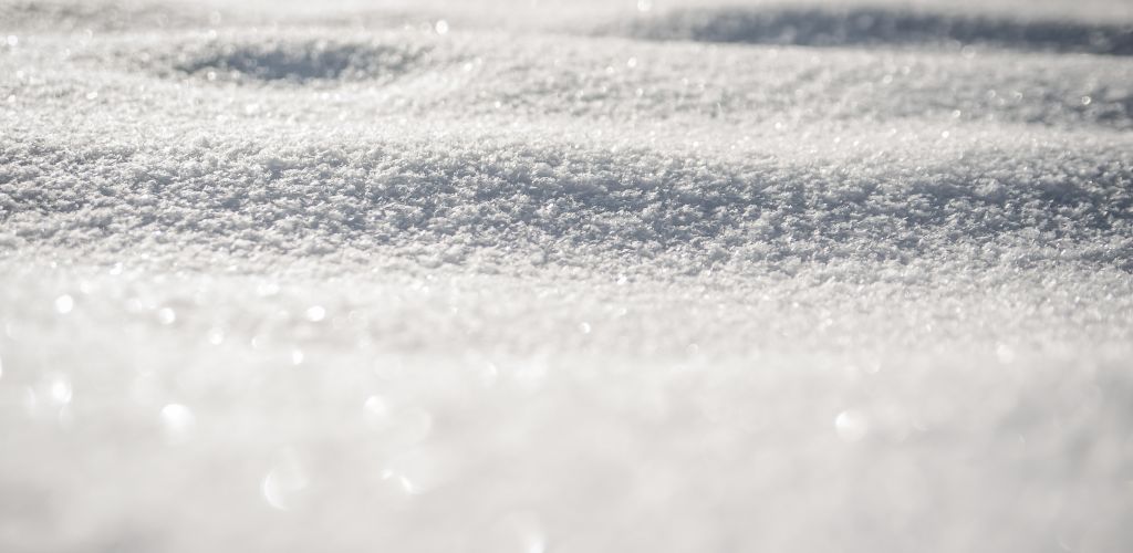 School closure February 4